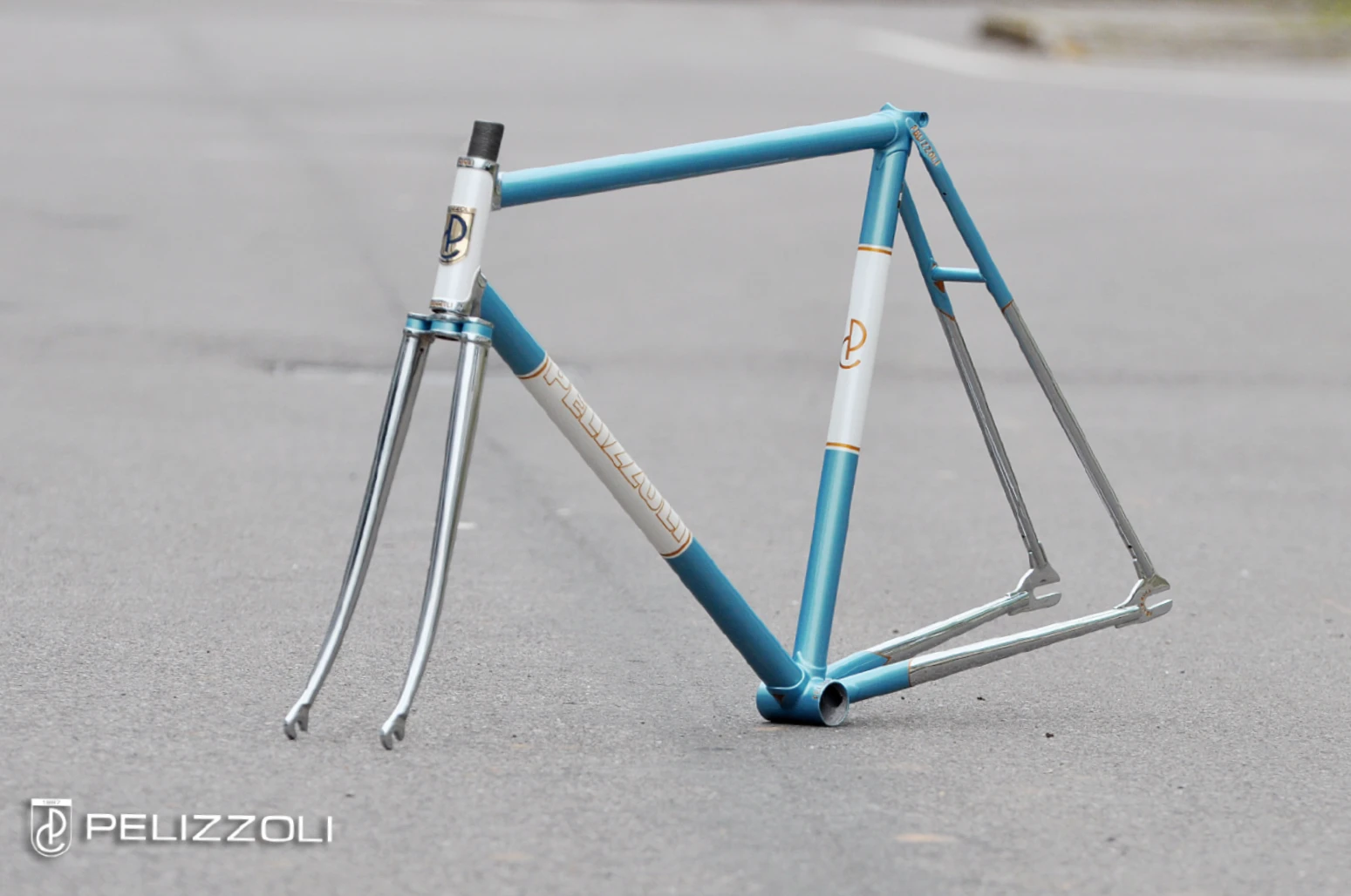 PISTA GP - immagine 3